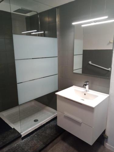 une salle de bain avec un lavabo et un miroir dans l'établissement Grande maison en pierre au coeur du village provençal du XIe siecle 10 personnes, à Saint-André-de-Roquepertuis