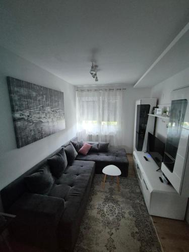 a living room with a couch and a television at Best apartman in Gornji Kneginec