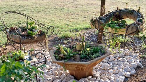 a garden with two planters with plants in it at Country Park Guest House - Muldersdrift in Muldersdrift