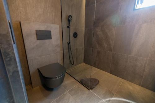 a bathroom with a shower and a toilet at North Mountain View Suites in Akureyri