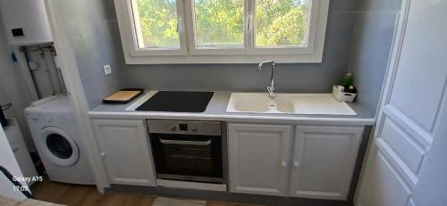 une petite cuisine avec un évier et une cuisinière dans l'établissement ZenMeublerMontfavet, à Avignon