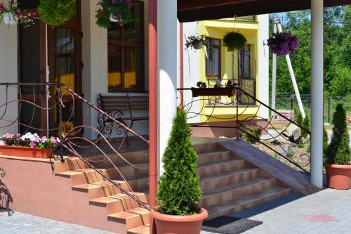 a house with stairs and potted plants on it at Hotel Restaurant Vizit in Truskavets