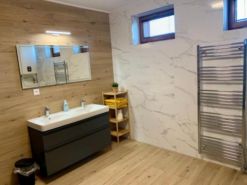 a bathroom with a sink and a mirror at Bahama apartments in Bucsuháza