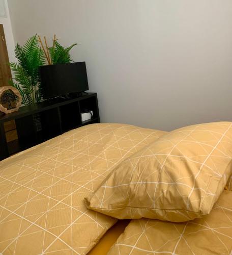 a bed with a pillow and a television in a room at Bahama apartments in Bucsuháza
