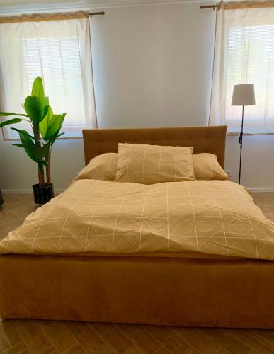 a large bed in a bedroom with two windows at Bahama apartments in Bucsuháza