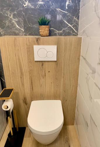 a bathroom with a white toilet and a plant at Bahama apartments in Bucsuháza