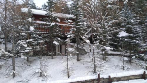 a house covered in snow in front of trees at L'ARGOUSIER Chalet 6 à 8 personnes Enchastrayes Barcelonnette in Enchastrayes