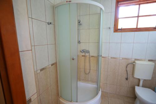 a bathroom with a shower and a toilet at Willa Jodełka in Majdan Sopocki