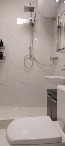 a bathroom with a shower and a toilet and a sink at URBAN HARMONY APARTMENT Maribor in Maribor