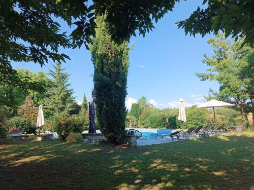 a tree in a yard with a pool and umbrellas at Bastide De Luzert in Labastide-de-Lévis