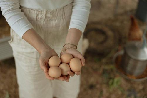 a person holding a bunch of eggs in their hands at Herrings House, an iconic designer nature retreat in Willunga