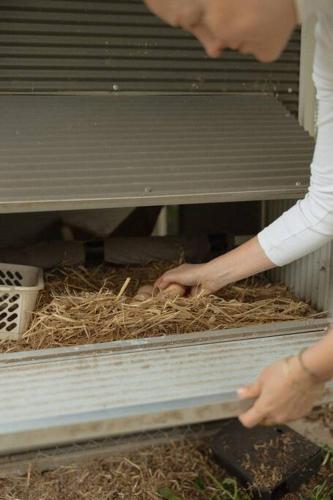 a person is putting hay into a machine at Herrings House, an iconic designer nature retreat in Willunga