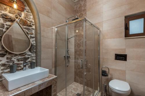 a bathroom with a shower and a sink and a toilet at Παραδοσιακό Κατάλυμα ΑΜΒΩΝΑΣ in Émbonas