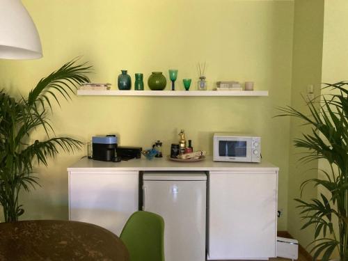 a kitchen with a white refrigerator and a microwave at Coloniola Lake House in Como