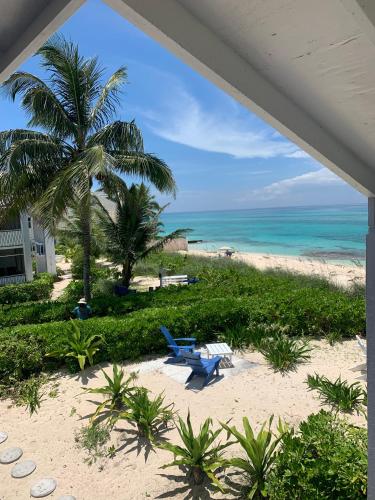 a beach with a blue bench and a palm tree at Beach'nBarefoot (Love Beach) - nestled on the beach in Orange Hill