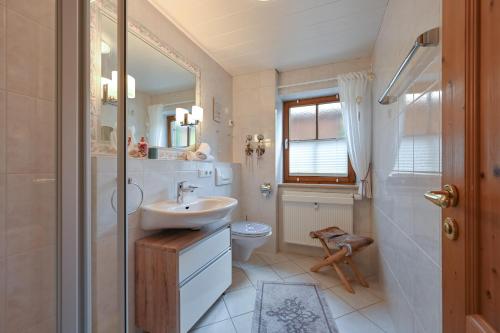 a bathroom with a sink and a toilet at Ferienwohnung Alpina in Roßhaupten