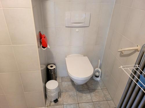 a small bathroom with a toilet and a trash can at Ferienwohnung Brixius in Koblenz