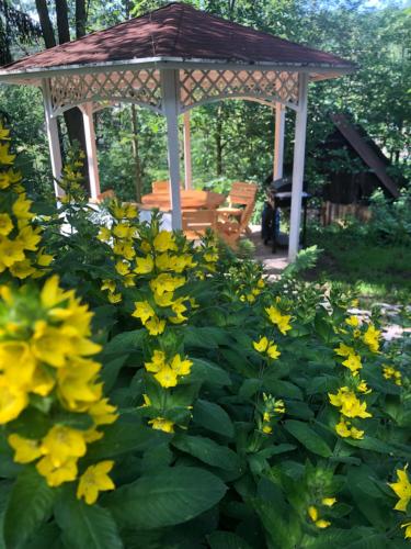 a gazebo with a bunch of yellow flowers at Slow life Karkonosze in Wojcieszyce