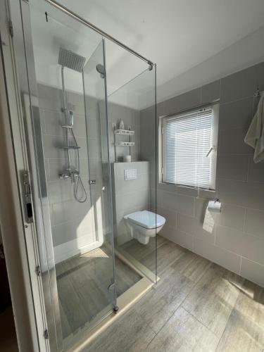 een badkamer met een glazen douche met toilet bij FLH - Casa Gheti in Sighişoara