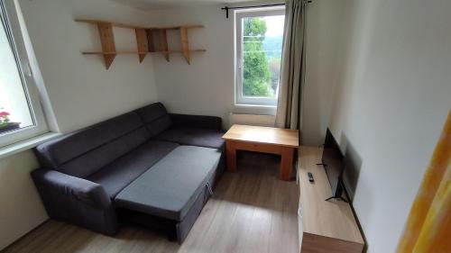 a living room with a couch and a table at Penzion Jizera Malá Skála in Malá Skála