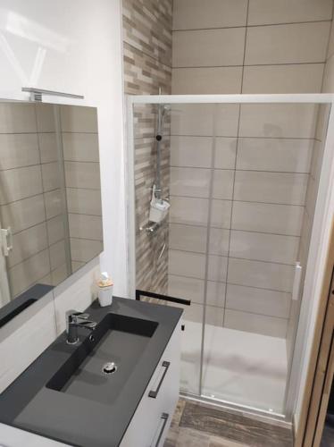 une salle de bain avec un lavabo et une douche dans l'établissement Appartement T1 centre-ville Beaupréau, à Beaupréau