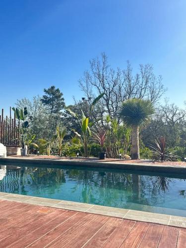 une piscine dans une cour avec des palmiers dans l'établissement Villa plain pied avec piscine, à Saint-Paul-en-Forêt