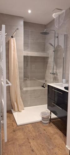une salle de bain avec douche et lavabo dans l'établissement Location T3 Centre ville avec parking, à Esquièze - Sère