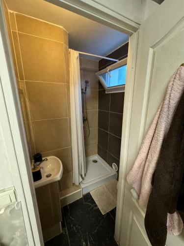 La petite salle de bains est pourvue d'une douche et d'un lavabo. dans l'établissement Duplex 1, à Choisy-le-Roi