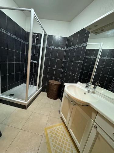 une salle de bain avec un lavabo et une douche dans l'établissement 14468 deux pièces avec piscine, à Mandelieu-la-Napoule