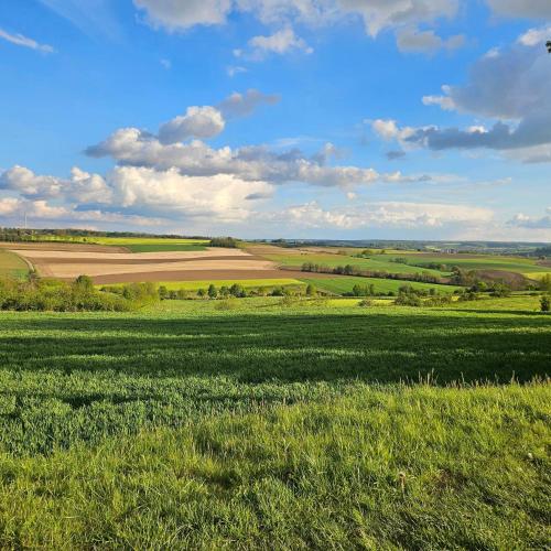a field with green grass and a blue sky at Camping La Dolce Vita in Ransdaal