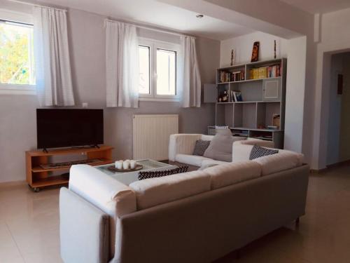 TV a/nebo společenská místnost v ubytování Mountain pool house