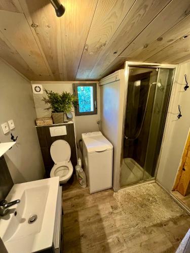 une salle de bain avec toilettes, douche et lavabo dans l'établissement Chalet dans la verdure - Les Chapeliers, à Uvernet
