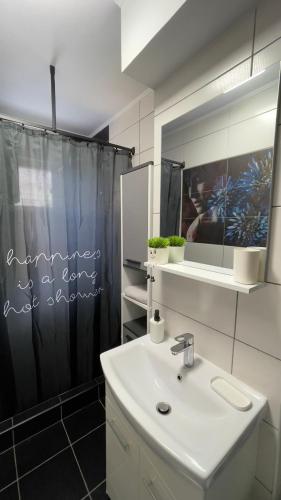 a bathroom with a sink and a shower curtain at Ostro Two Bedrooms in Râmnicu Vâlcea