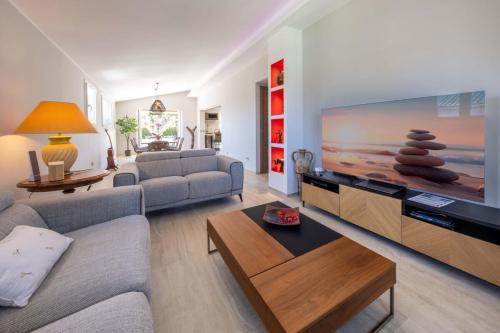 - un salon avec un canapé et une télévision à grand écran dans l'établissement 06AK1 - Villa 4 bedrooms swimming pool and sauna, à Villeneuve-Loubet