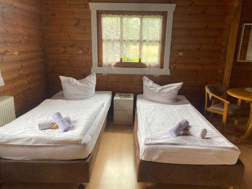 two beds in a room with a table and a window at ABB Sportcenter Gänsefurth, Doppelzimmer ohne Küche, Standard Doppelzimmer mit Küche in Hecklingen