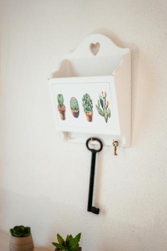 a shelf with cacti on a wall with a holder at VenuSuite VENOSA - Luxury House, Spa & Relax - in Venosa