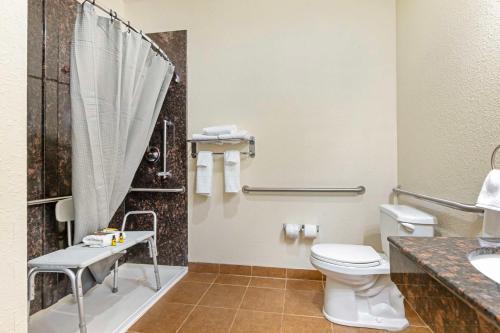 a bathroom with a toilet and a shower and a sink at Best Western Plus Greenville South in Piedmont
