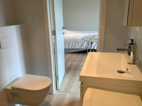 シント・マルテンス・ラーテムにあるPoppy Home Gent Homestayのトイレ、洗面台、ベッドのあるバスルーム