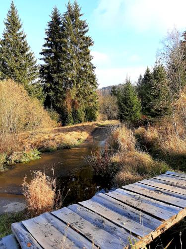 a wooden bridge over a river in a forest at Prázdninový dům - Apartmány Vltavice in Horní Vltavice