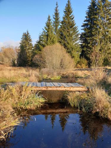a bridge over a pond with trees in the background at Prázdninový dům - Apartmány Vltavice in Horní Vltavice