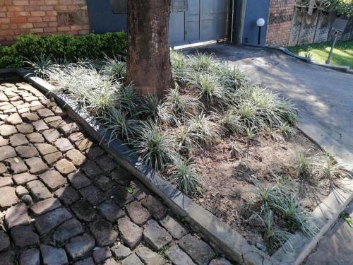 Zahrada ubytování Kaste guesthouse Tzaneen