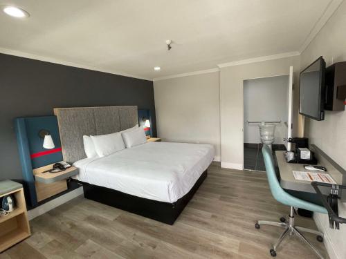The Midtowner Hotel, SureStay Collection by Best Western Image