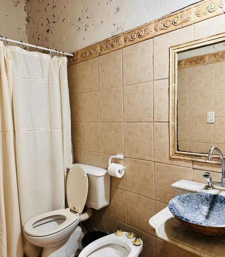 a bathroom with a toilet and a sink at El Chabot Fan in Salta