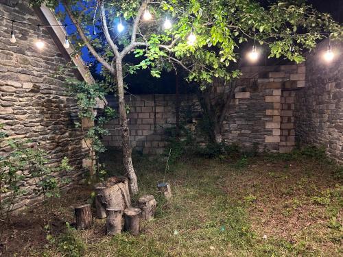 an outdoor garden with a tree and some lights at Zenor in Quba
