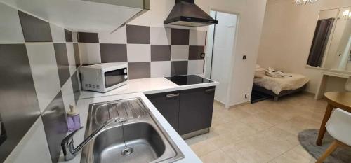 une petite cuisine avec un évier et un micro-ondes dans l'établissement Appartement de la Richelandiere, à Saint-Étienne