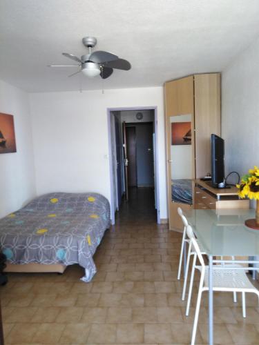 une chambre avec un lit, une table et un bureau dans l'établissement STUDIO PROCHE MER ETANGS ET CANAUX, à Mauguio