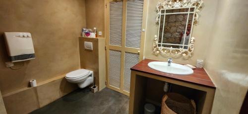 une salle de bain avec toilettes, lavabo et miroir dans l'établissement Ile Rousse Guardiola T2 les pieds dans l eau, à Monticello