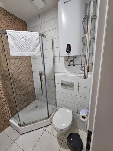 a bathroom with a shower and a toilet at Mansarda Iris in Kyiv