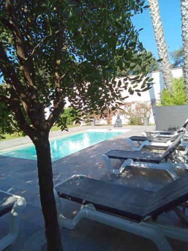 a group of lounge chairs next to a tree next to a swimming pool at Chambres d'Hôtes Le Mas du Bijou Bleu in Puget-sur Argens