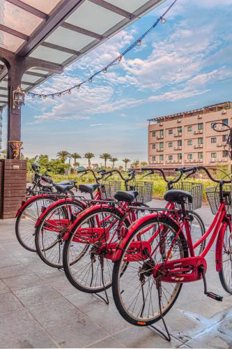 une rangée de vélos rouges garés l'un à côté de l'autre dans l'établissement 頭城遊龍戲鳳賞鯨會館2館, à Toucheng